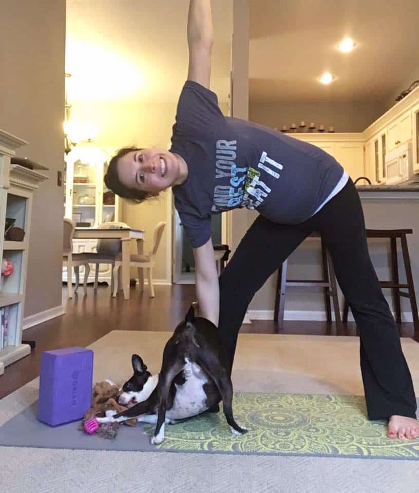 Do Boston Terriers Need A Lot of Exercise?