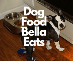 Recommended Boston Terrier Dog Food. Boston Terrier Society.