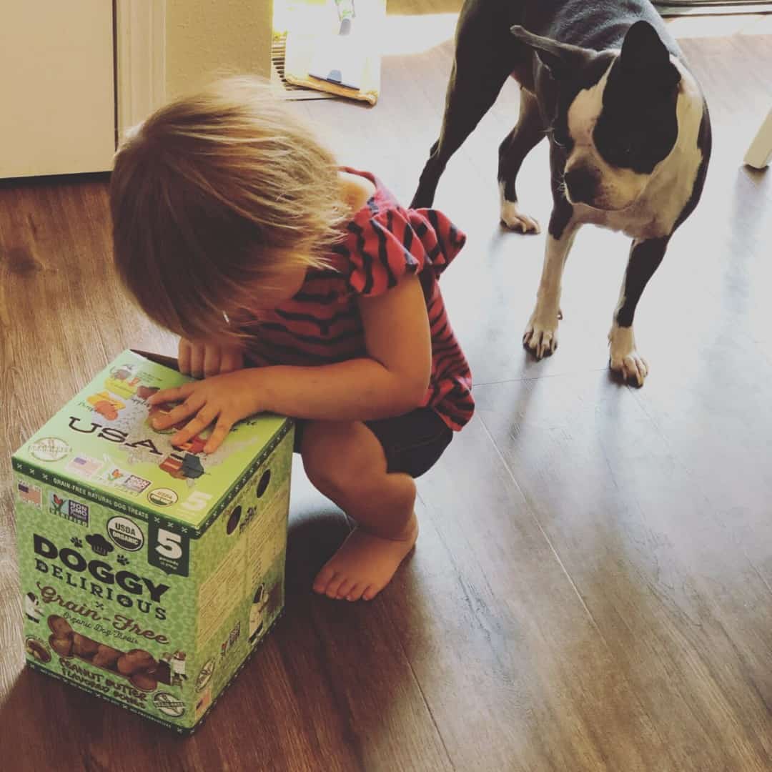Best dog treats for boston terriers cheap