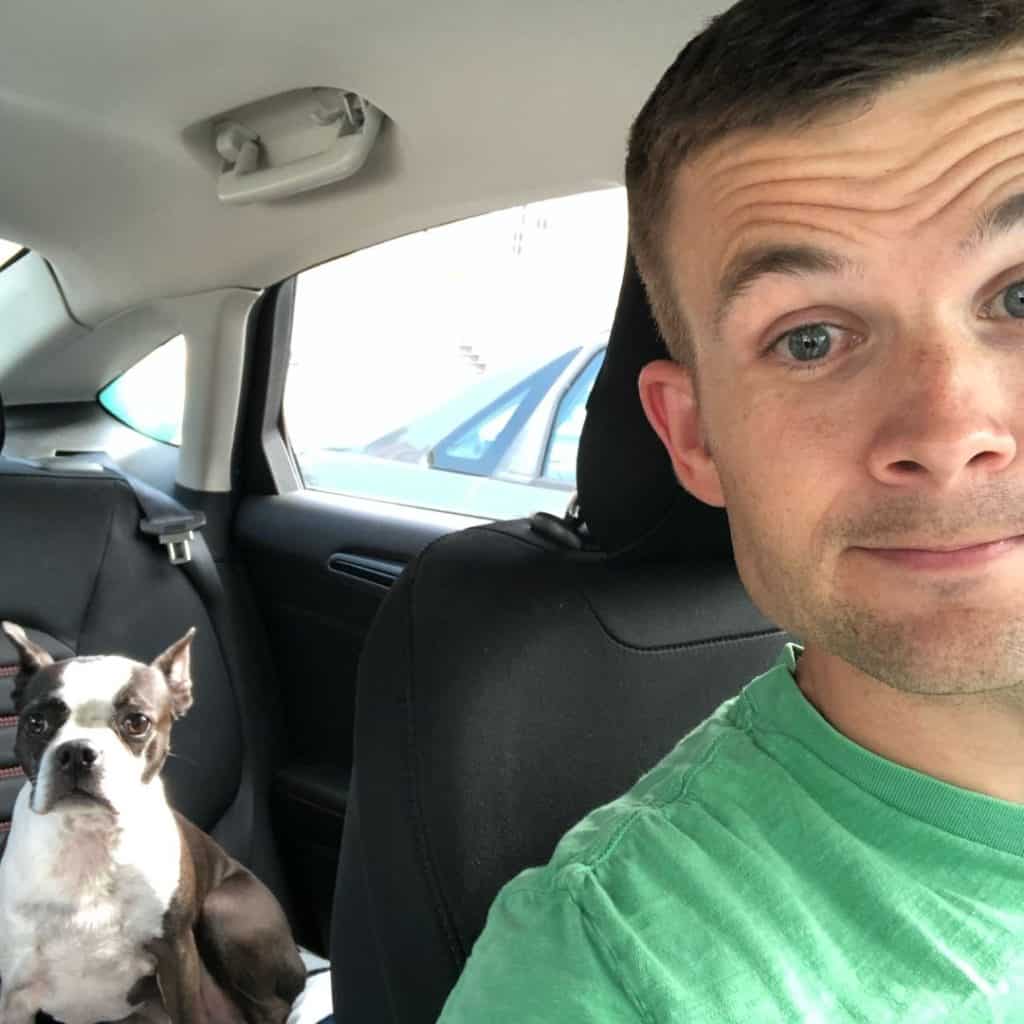 Why Do Boston Terriers Jump