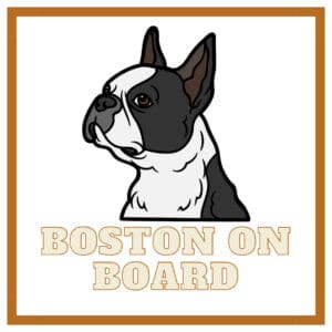 Boston Terrier On Board