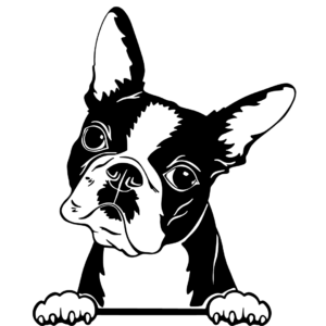 boston terrier tattoo ideas