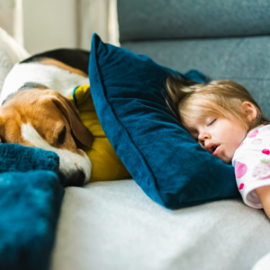 best dog breeds for kids