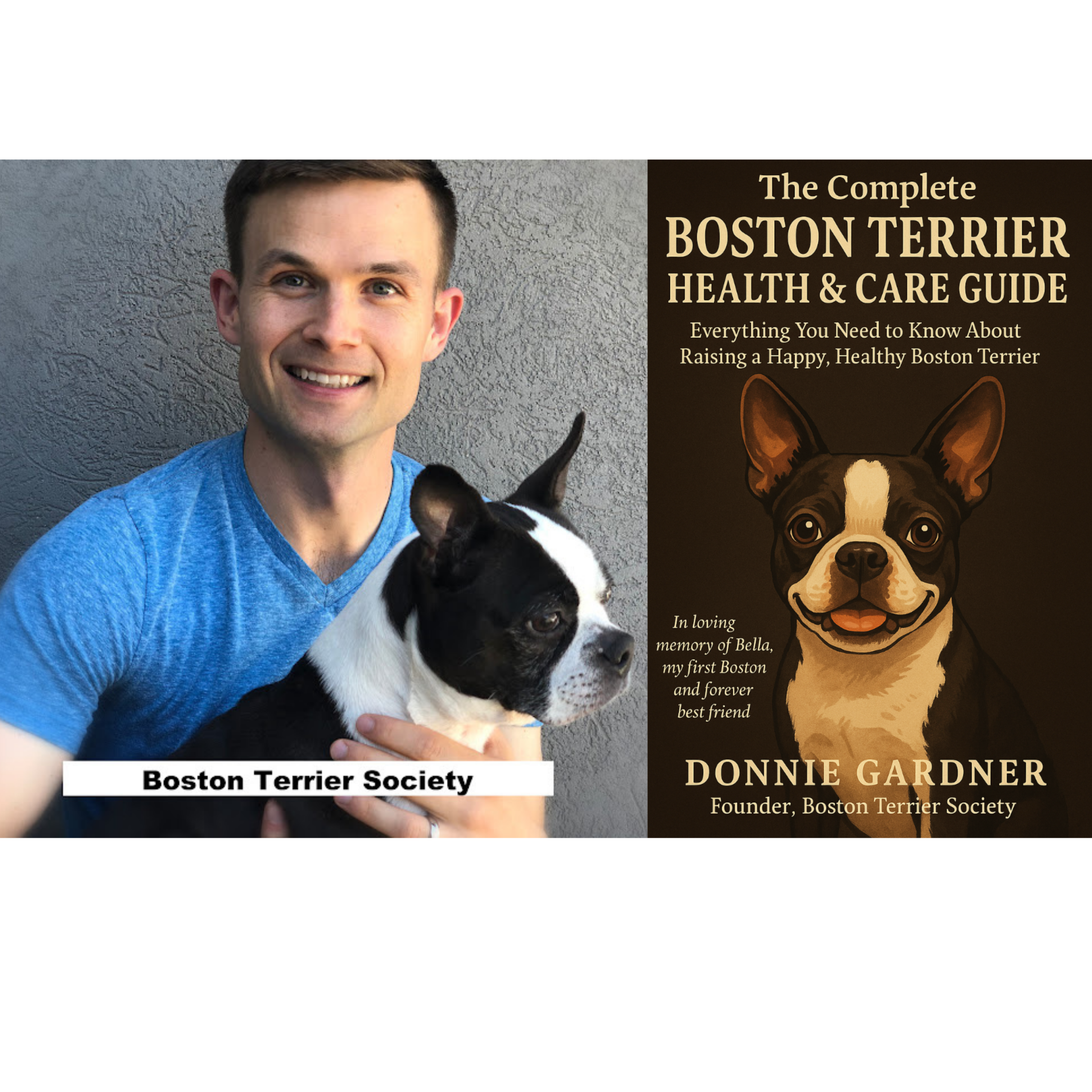 The Complete Boston Terrier Guide